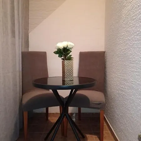 Easy Check In 021 Vladika