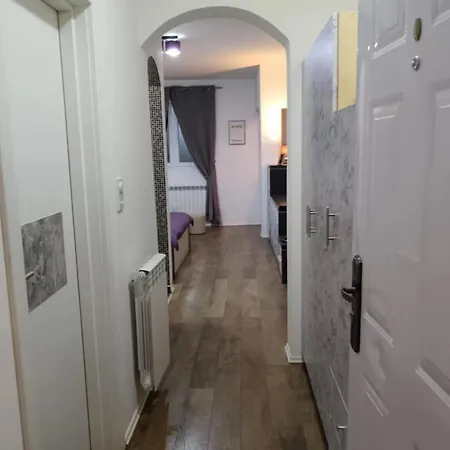 Easy Check In 021 Vladika