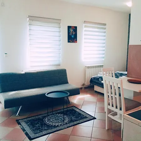 Apartment Easy Check In 021 Vladika Novi Sad